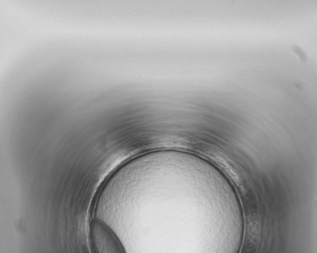 X0000115420893200912011244