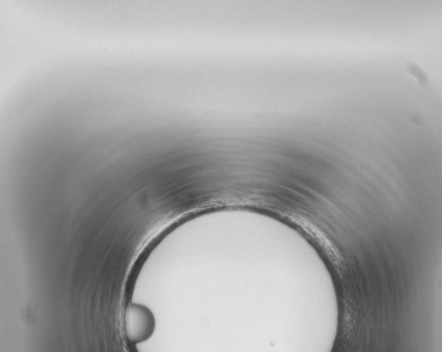 X0000115420894200912011244