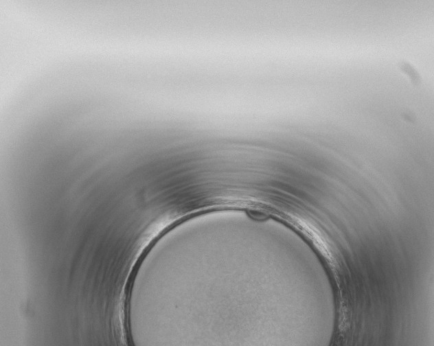 X0000115420899200912011244