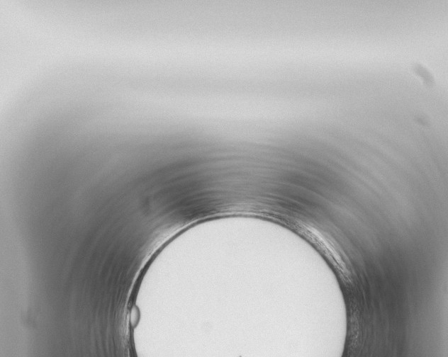 X0000115420900200912011243