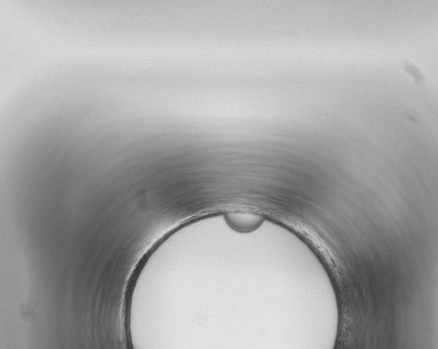 X0000115420902200912011243