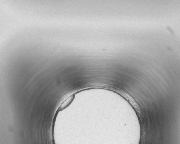 X0000115420904200912011243