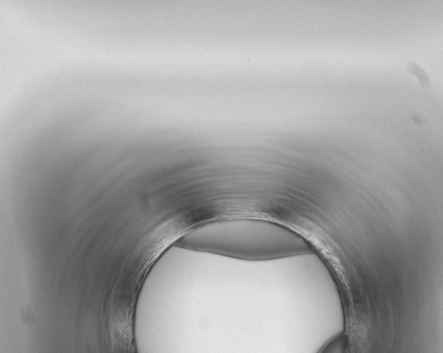 X0000115420905200912011243