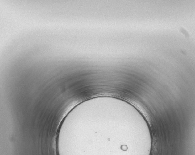 X0000115420906200912011243