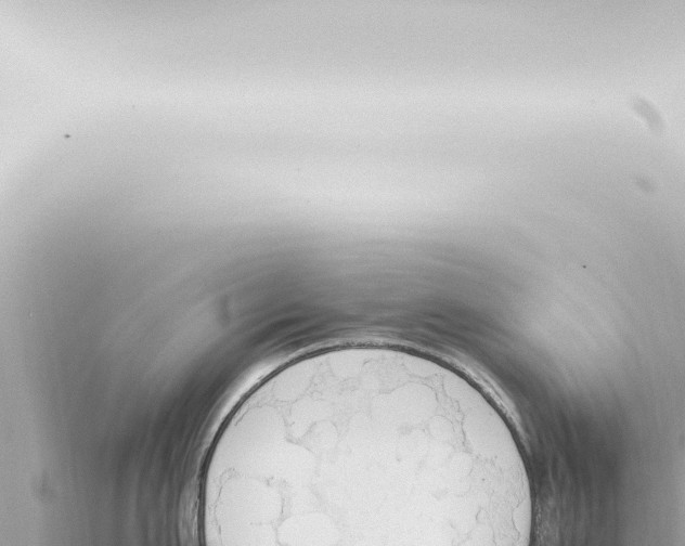 X0000115420911200912011243