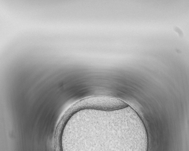 X0000115420912200912011243