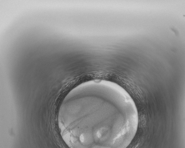 X0000115420913200912011243