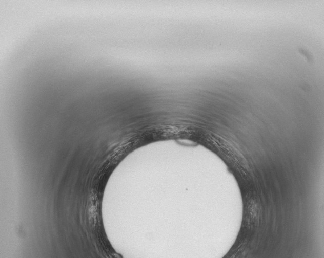 X0000115420914200912011243