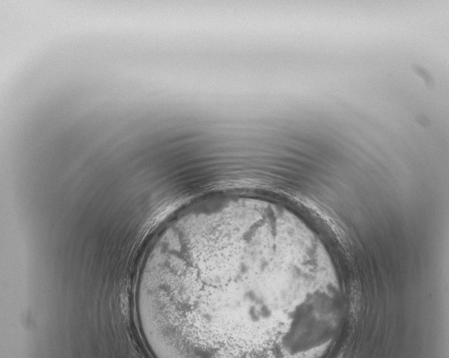 X0000115420921200912011243