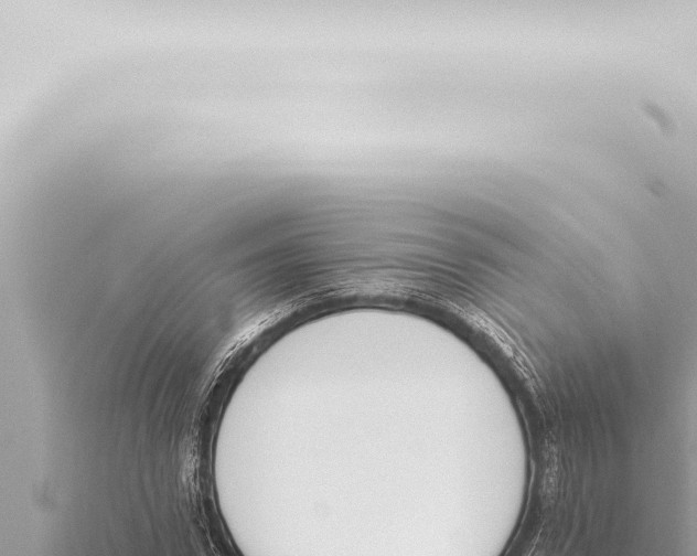 X0000115420922200912011243