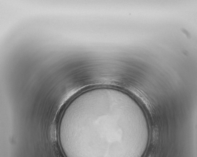 X0000115420925200912011243