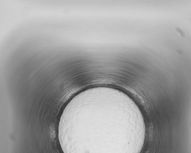 X0000115420929200912011243