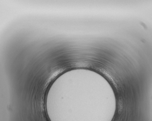 X0000115420930200912011243