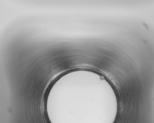 X0000115420931200912011243