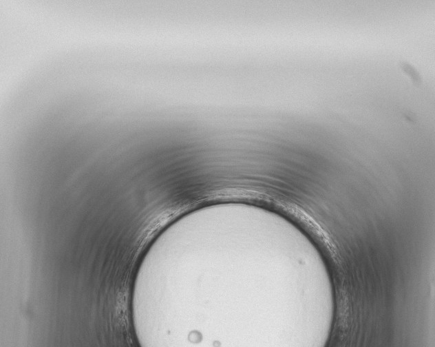 X0000115420937200912011243