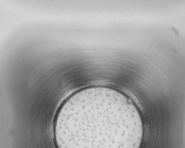 X0000115420939200912011243