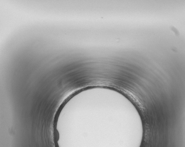 X0000115420942200912011243