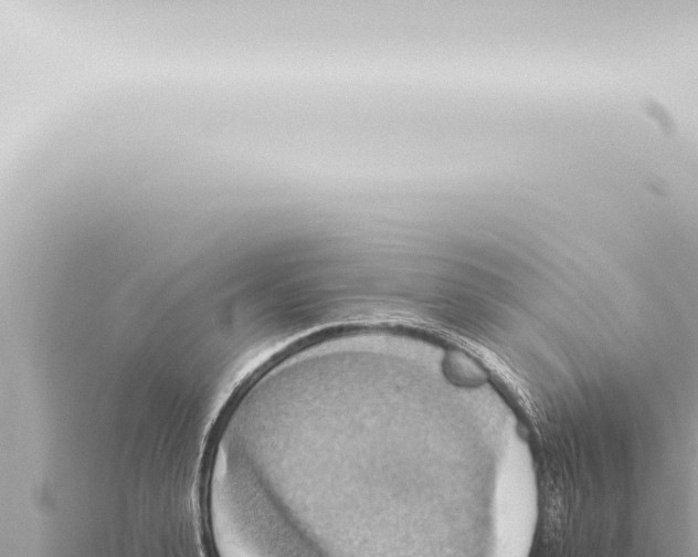 X0000115420943200912011243