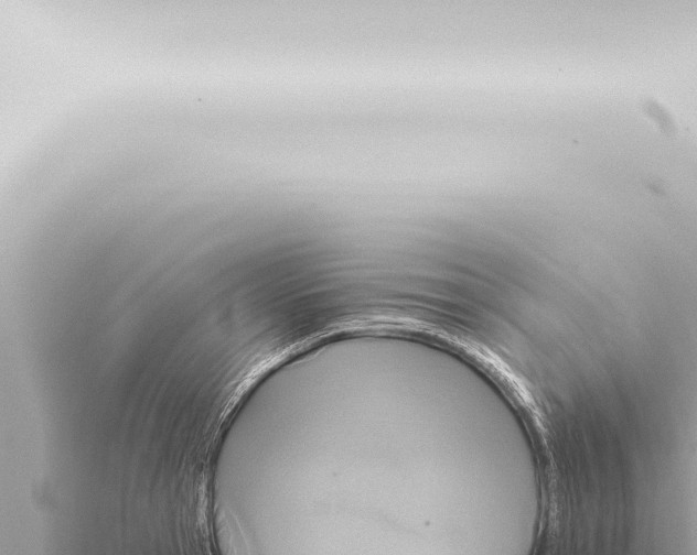 X0000115420945200912011243