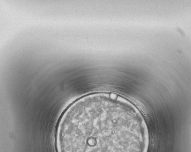 X0000115420950200912011243