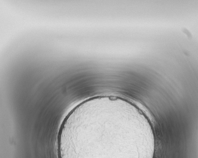 X0000115420951200912011243