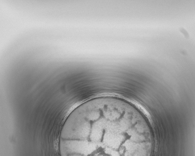 X0000115420953200912011243