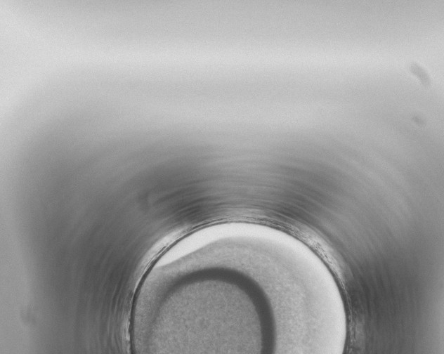 X0000115420954200912011243