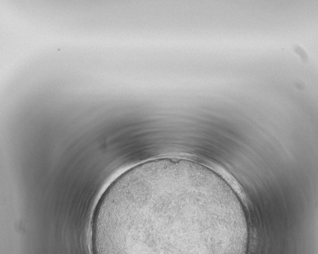 X0000115420955200912011243