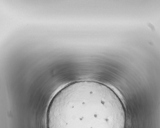 X0000115420957200912011243