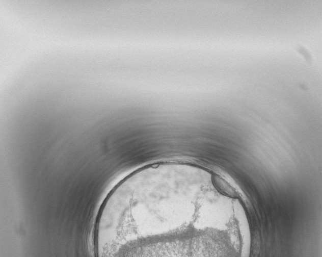 X0000115420959200912011243