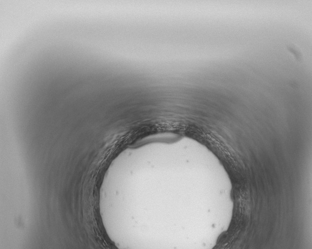 X0000115420961200912011243