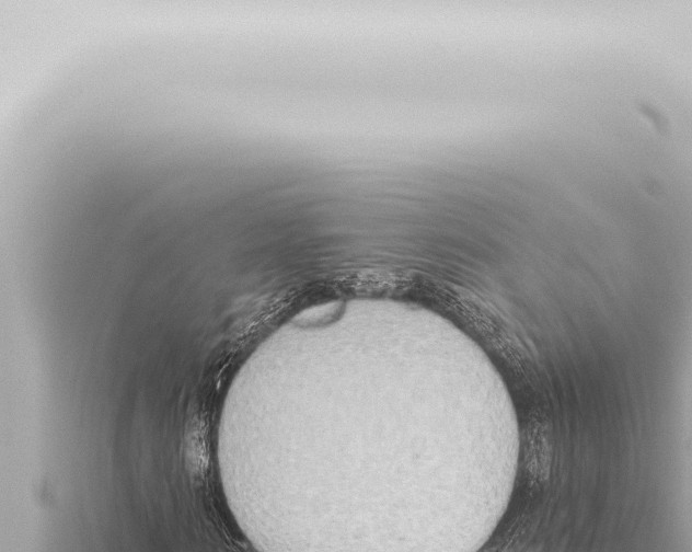 X0000115420962200912011243