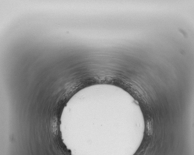 X0000115420963200912011243