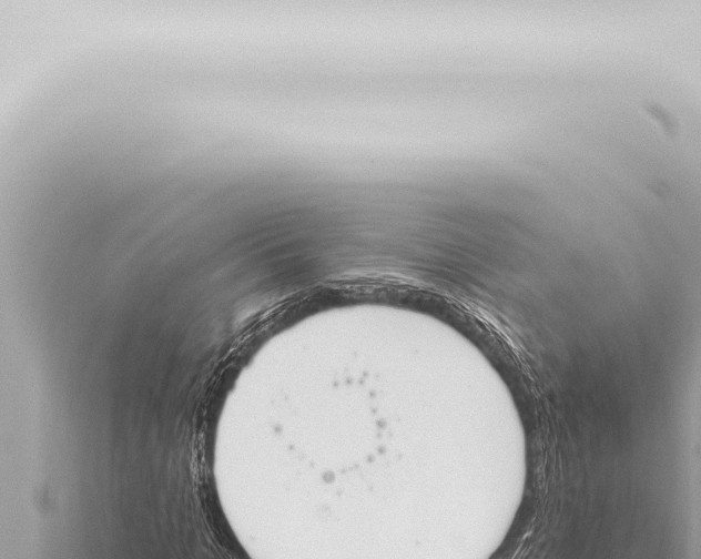 X0000115420965200912011243