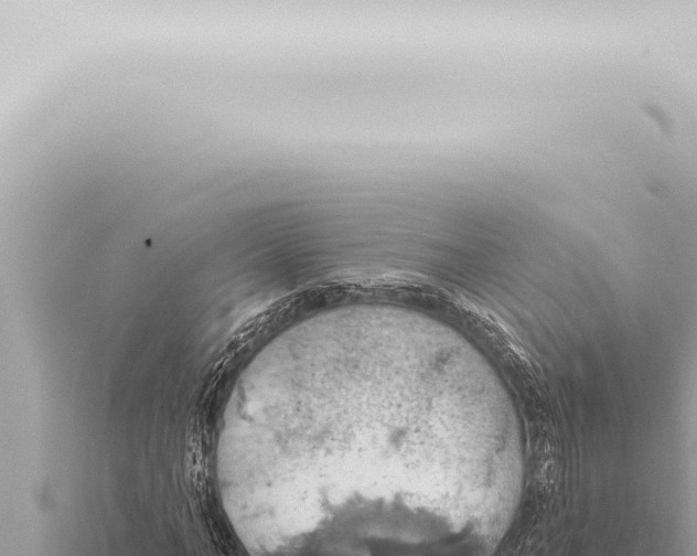 X0000115420966200912011243