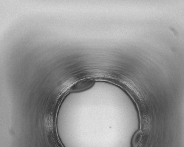 X0000115420969200912011243