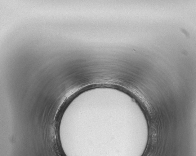 X0000115420974200912011243