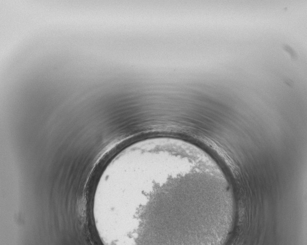 X0000115420975200912011243