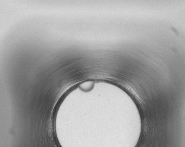 X0000115420976200912011243