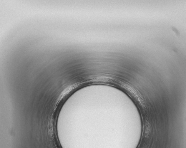 X0000115420978200912011242