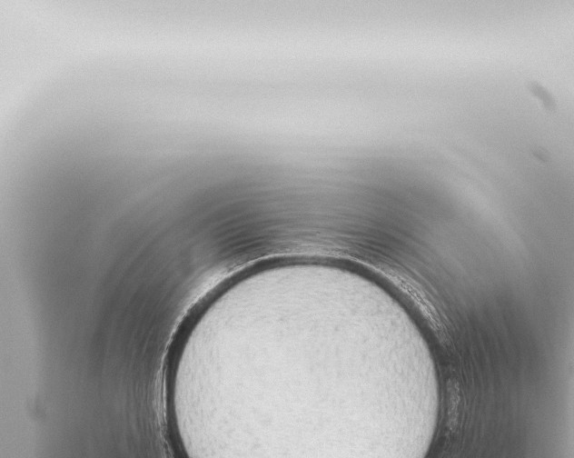 X0000115420982200912011242