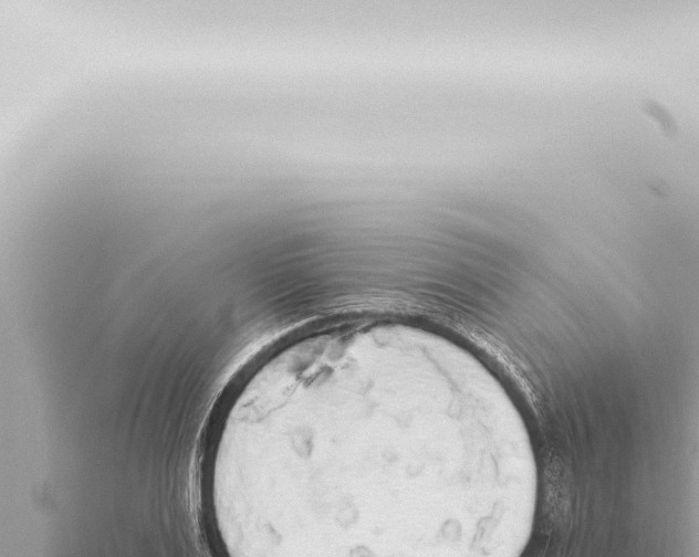 X0000115420983200912011242