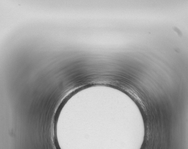 X0000115420984200912011242