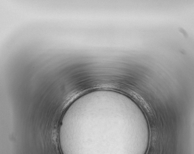 X0000115420985200912011242