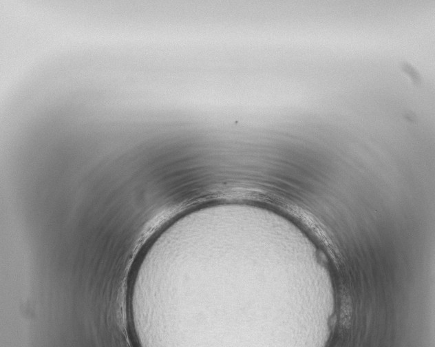 X0000115420986200912011242