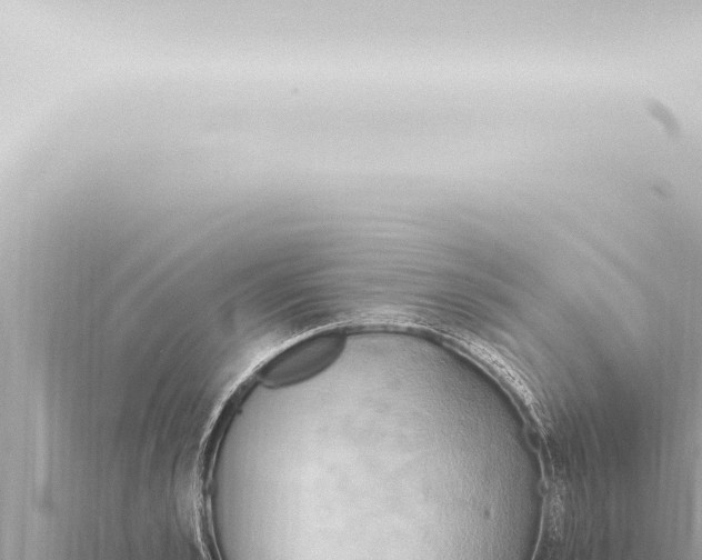 X0000115420989200912011242