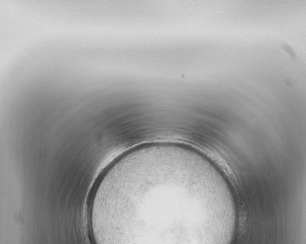 X0000115420990200912011242