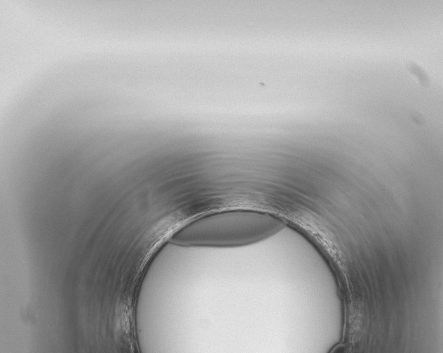 X0000115420993200912011242