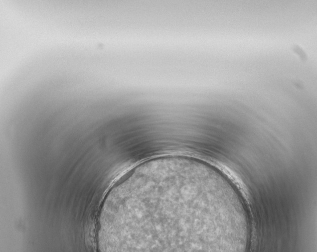 X0000115421001200912011242