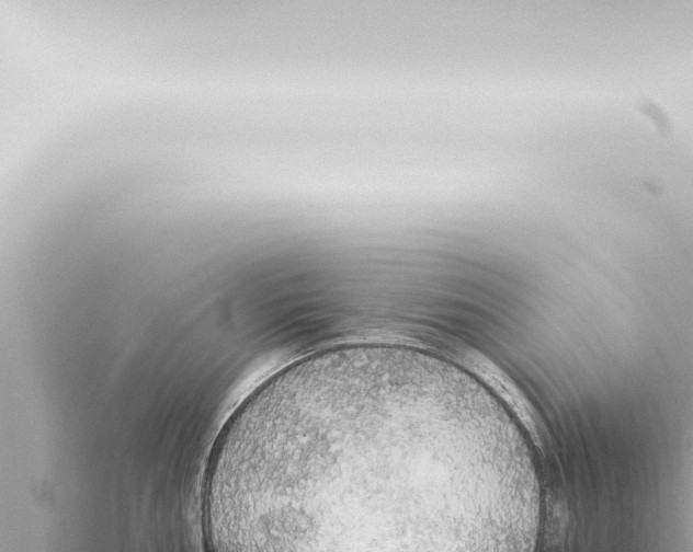 X0000115421002200912011242